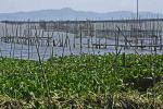 Au bord de Laguna Bay au sud de Metro Manila …